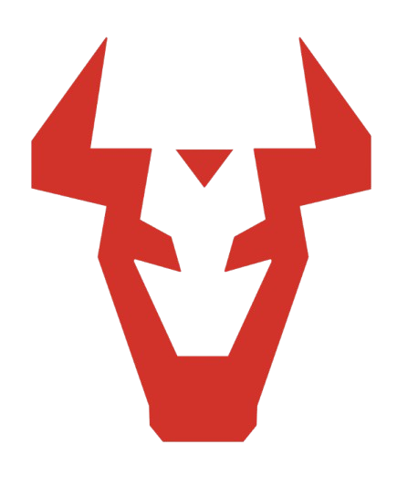 Stier Racing | MSRIT EV FORMULA TEAM